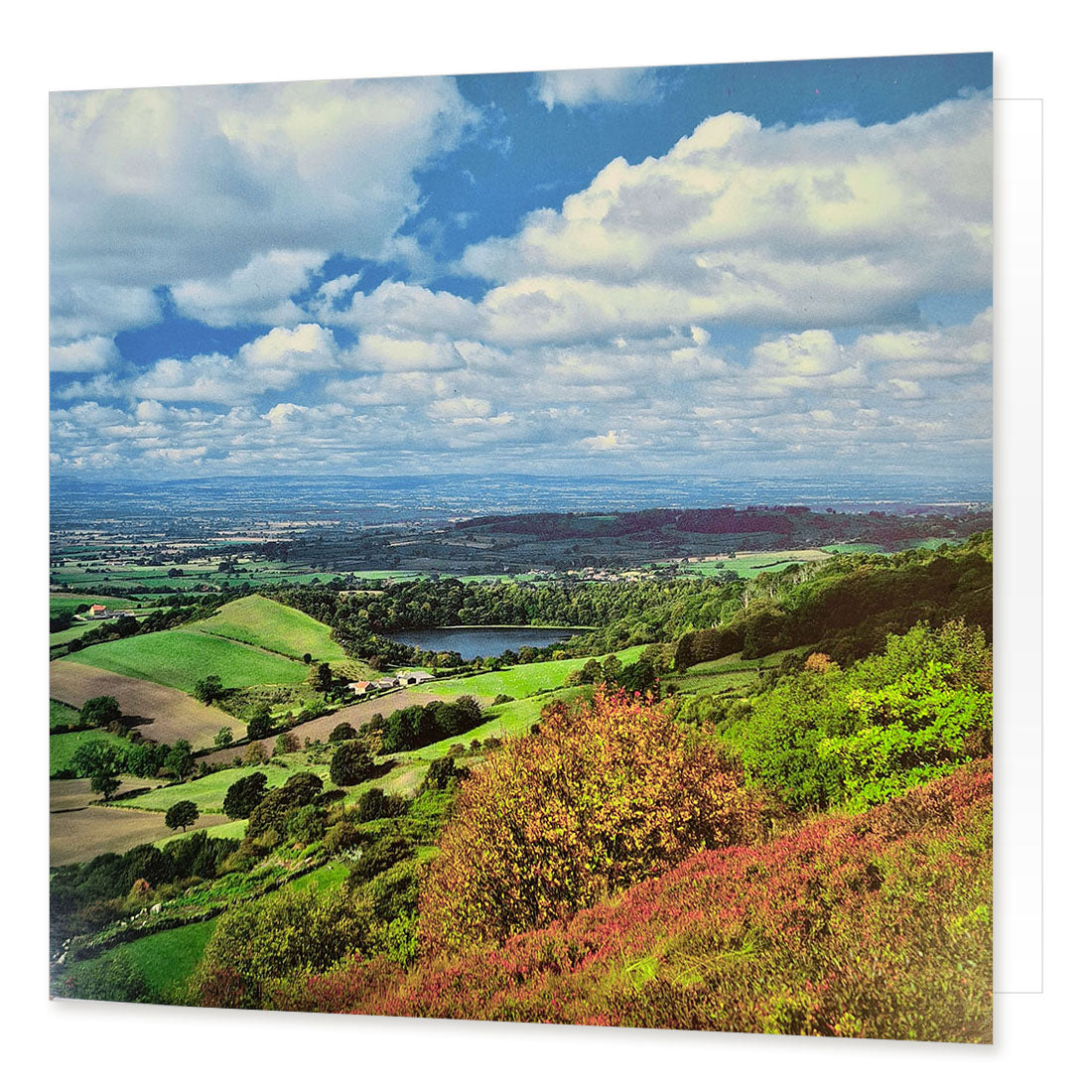 Sutton Bank Greetings Card Great Stuff from Cardtoons
