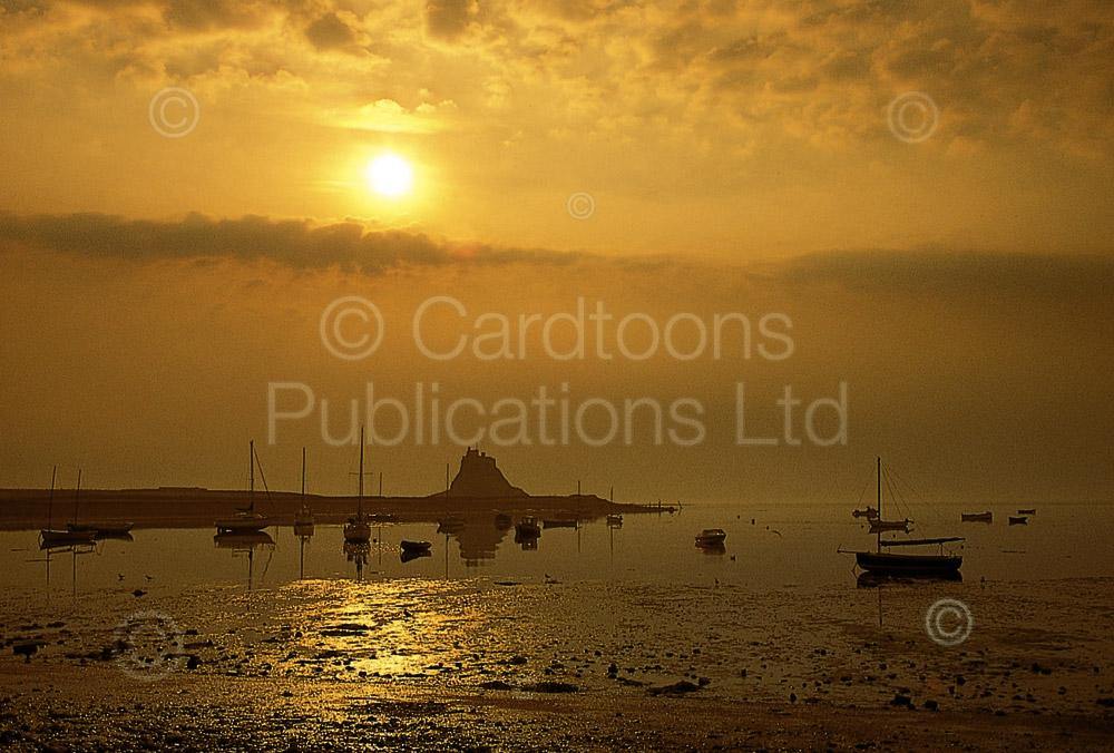 Lindisfarne Harbour and Castle at sunrise postcard | Cardtoons Publications