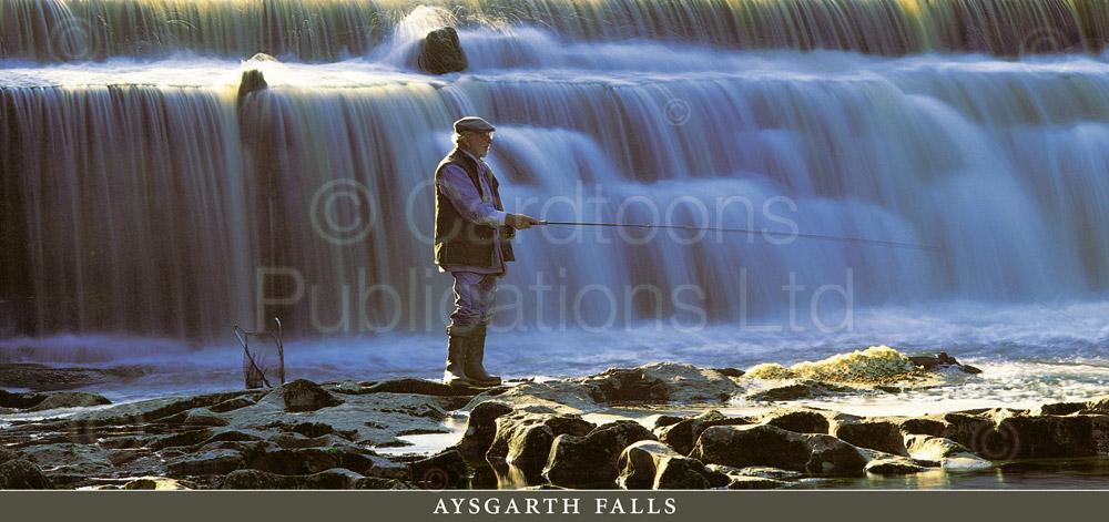 Aysgarth Falls Postcard | Cardtoons Publications