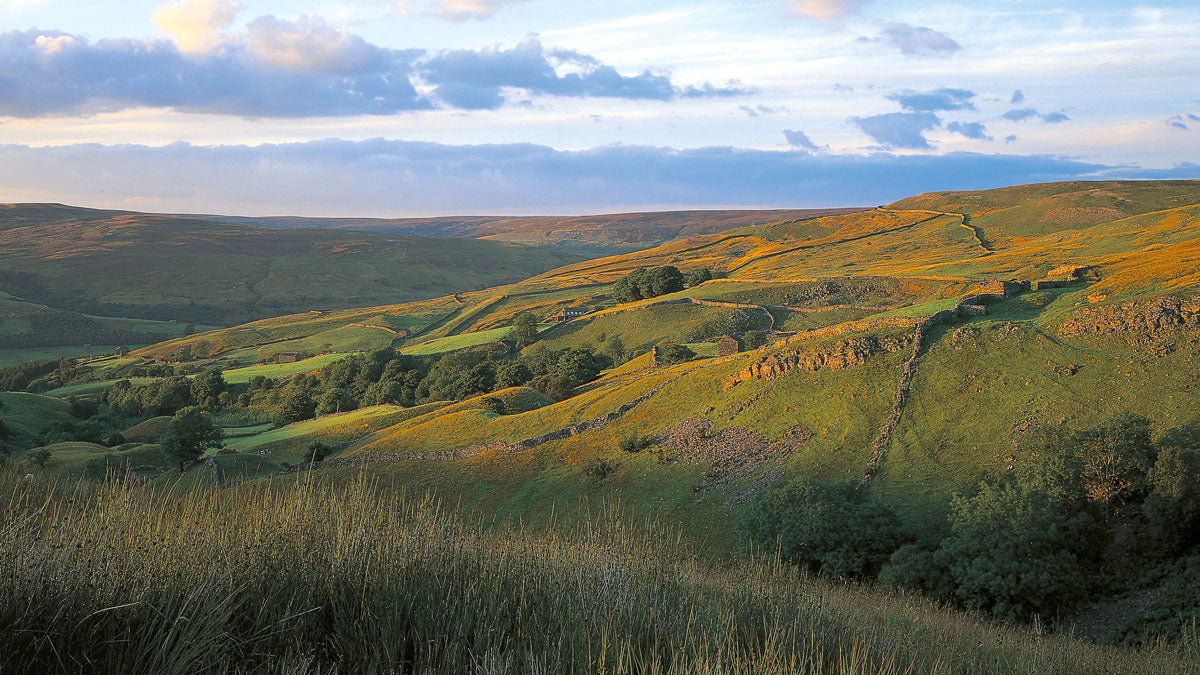North York Moors © David Tarn
