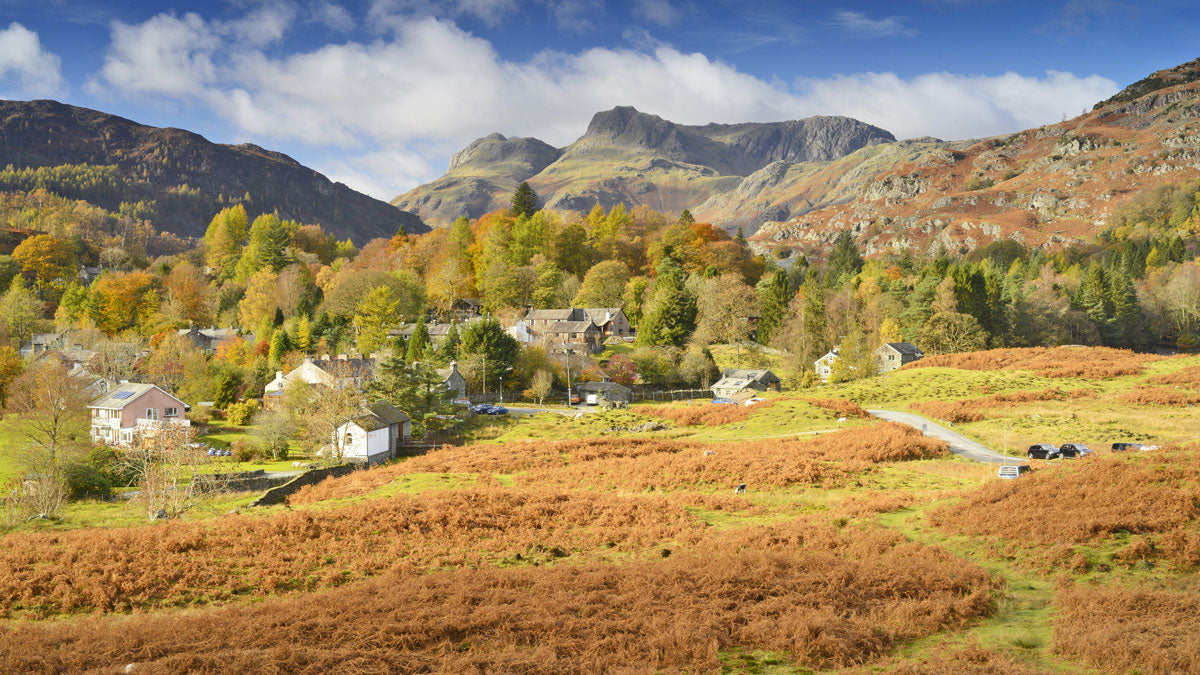 Autumn colours in Elterwater and Langdale Pikes © Alex Black