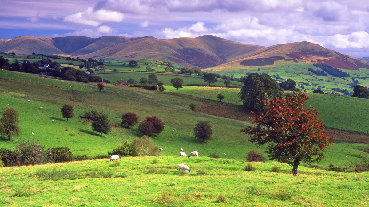The Howgill Fells near Sedbergh © Alex Black