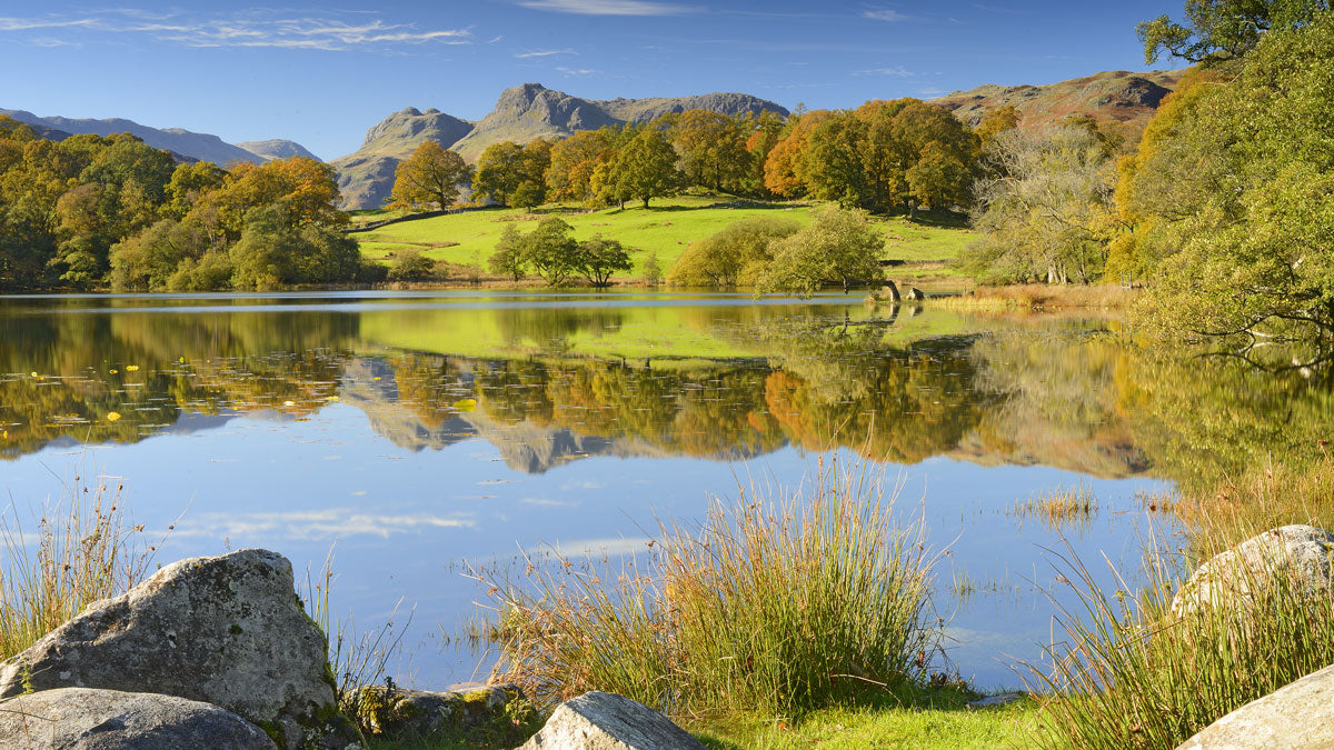 Loughrigg Tarn and Langdale Pikes © Alex Black