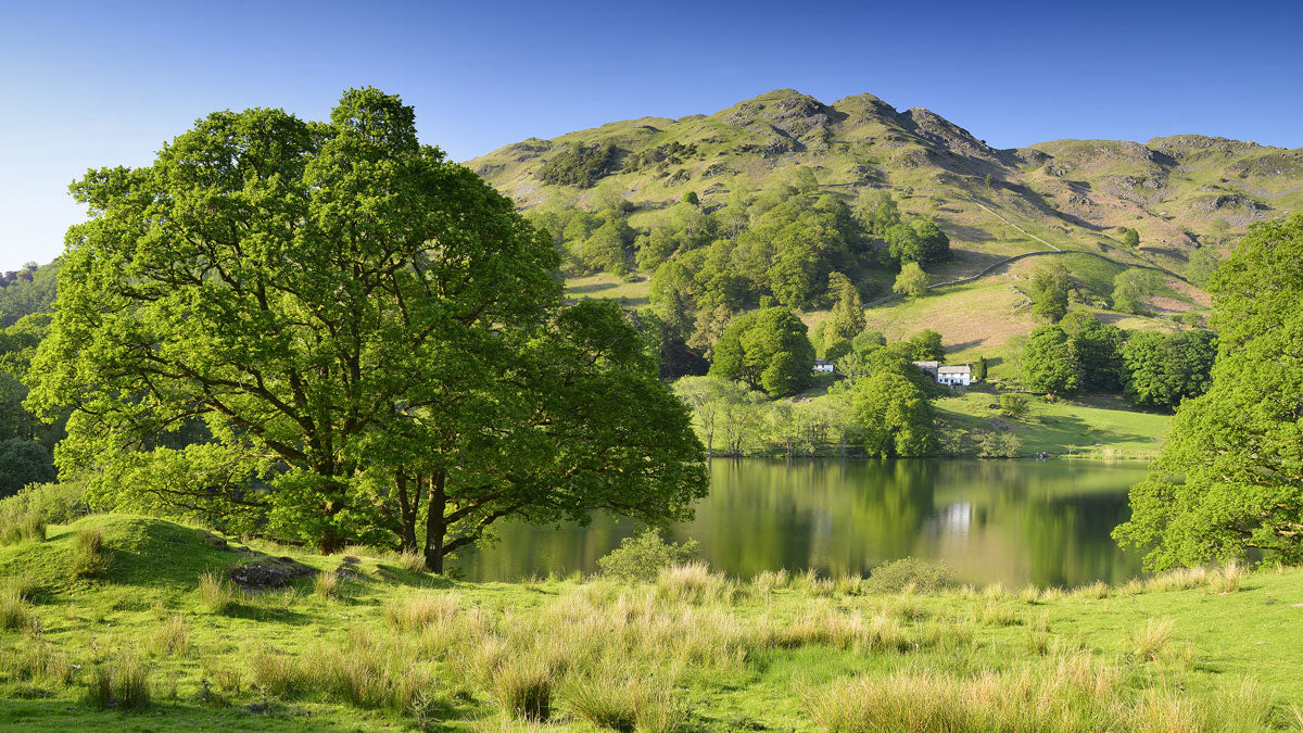 Loughrigg Tarn & Loughrigg Fell © Alex Black