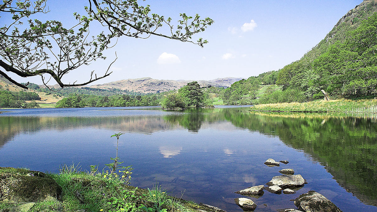 Rydal Water © Joan Bryden