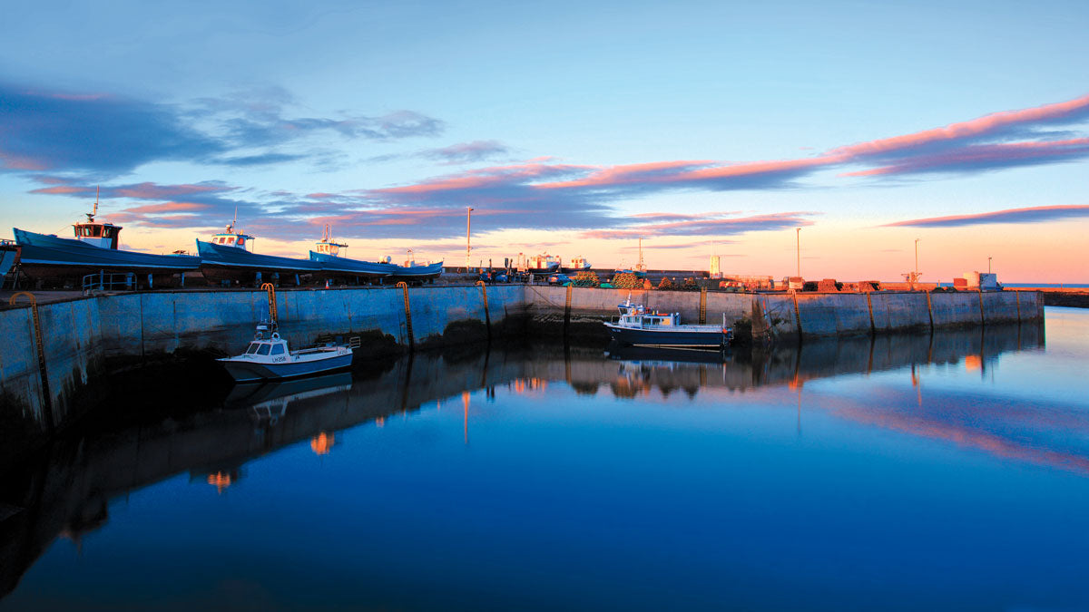 Seahouses Harbour © Emma Rothera. Find this image on our PC115 Postcard