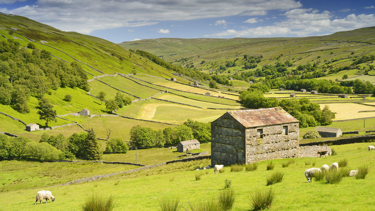 A trip to the Yorkshire Dales in Spring