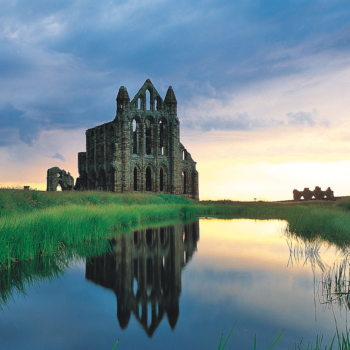 Whitby Abbey © David Tarn