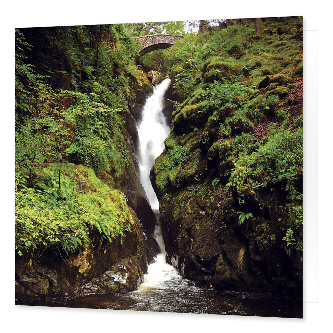 Aira Force Greetings Card from the Landmark Photographic range by Cardtoons