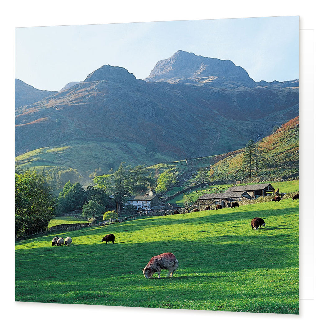 Mill Beck, Great Langdale greetings card from the Landmark Photographic range by Cardtoons