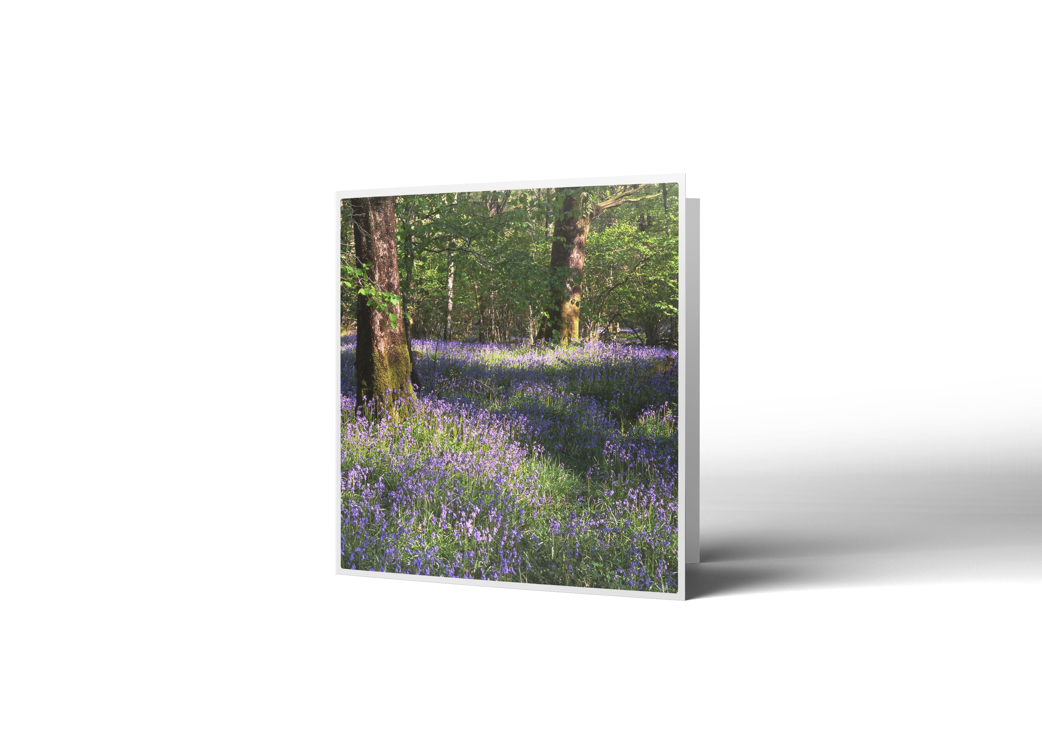 Bluebell Carpet Greetings Card