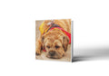 Dog Tired Greetings Card