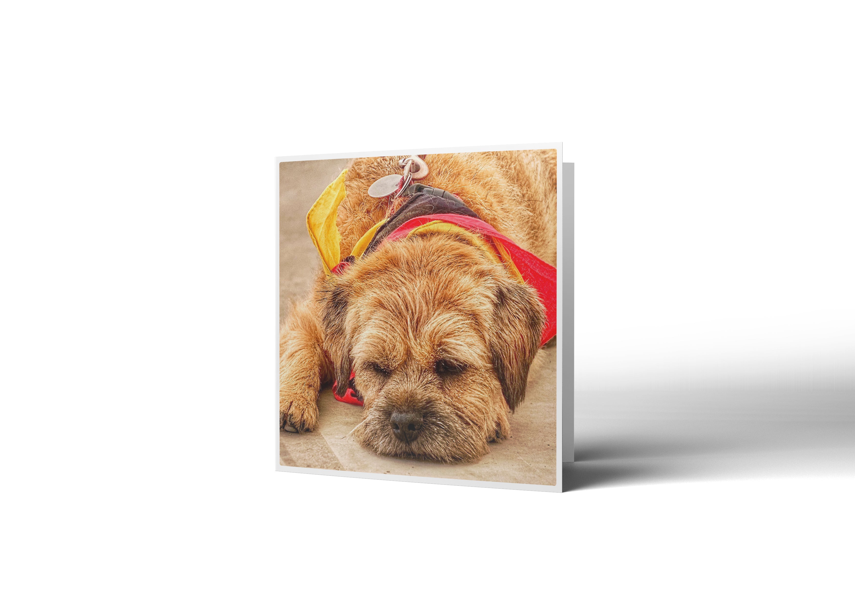 Dog Tired Greetings Card