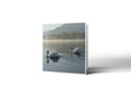 Swan Lake Greetings Card