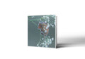 You Aint Seen Me... Right? Greetings Card