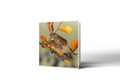 Meet The Balancing Brothers Greetings Card