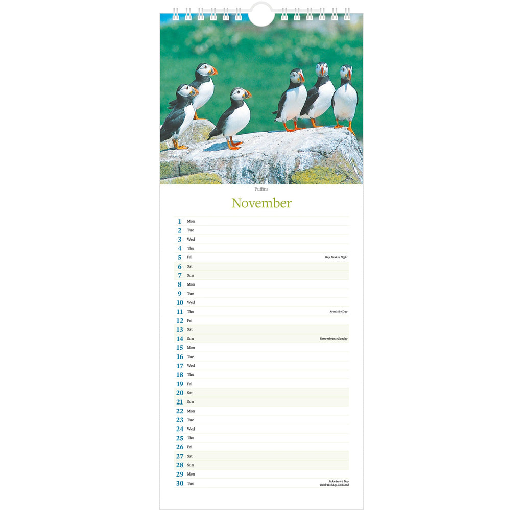 Northumberland Images Calendar 2027 - November (Puffins)