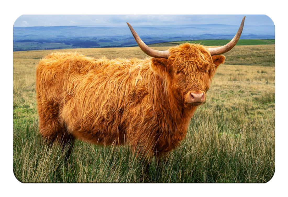 Highland Cow flexible fridge magnet | Great Stuff from Cardtoons
