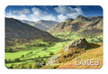 Langdale Flexible Fridge Magnet | Great Stuff from Cardtoons