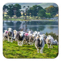 Herdies Coaster by Cardtoons Publications