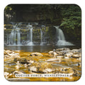 Cotter Force Wensleydale Coaster by Cardtoons Publications