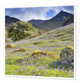 Bluebells in Rannerdale Greetings Card from the Landmark Photographic range by Cardtoons