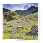 Bluebells in Rannerdale Greetings Card from the Landmark Photographic range by Cardtoons