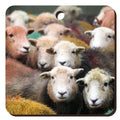 Herdwick Gang Wooden Keyring | Great Stuff from Cardtoons