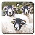 Swaledale Sheep Wooden Keyring | Great Stuff from Cardtoons