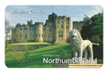 Alnwick Castle flexible fridge magnet - Great stuff from Cardtoons