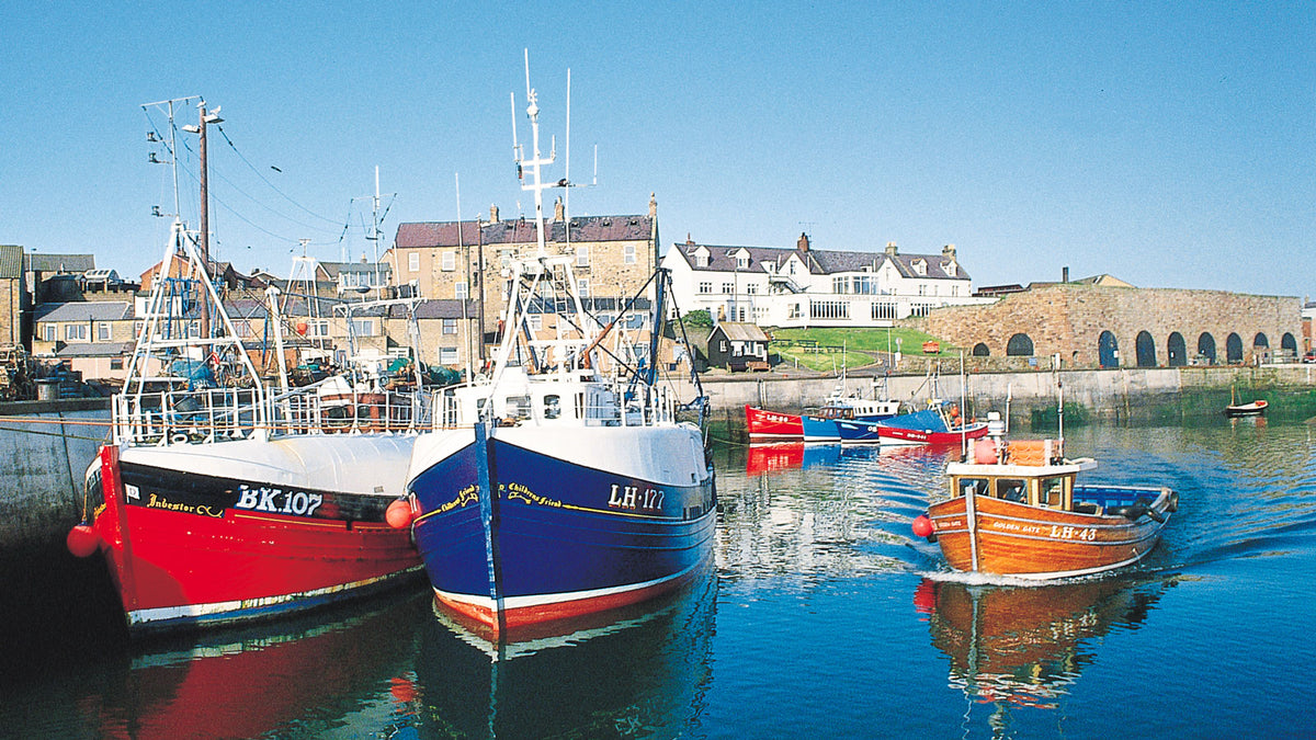 Seahouses from the Cardtoons Northumberland Images Slimline 2023 calendar © Caroline Claughton