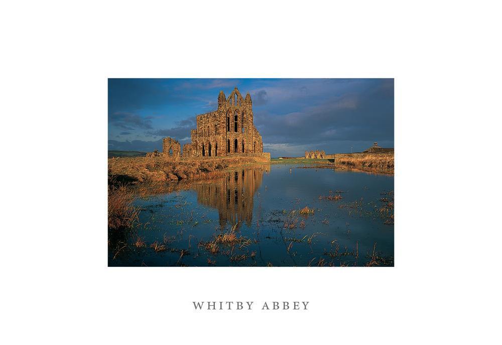 Whitby Abbey postcard | Cardtoons Publications