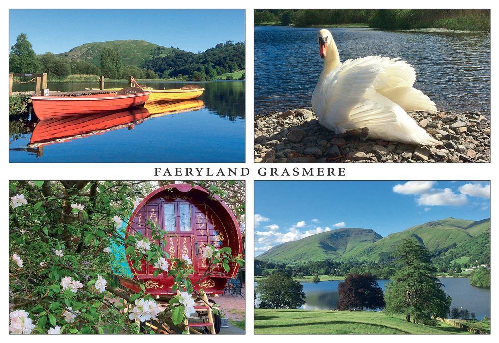 Faeryland postcard | Cardtoons Publications