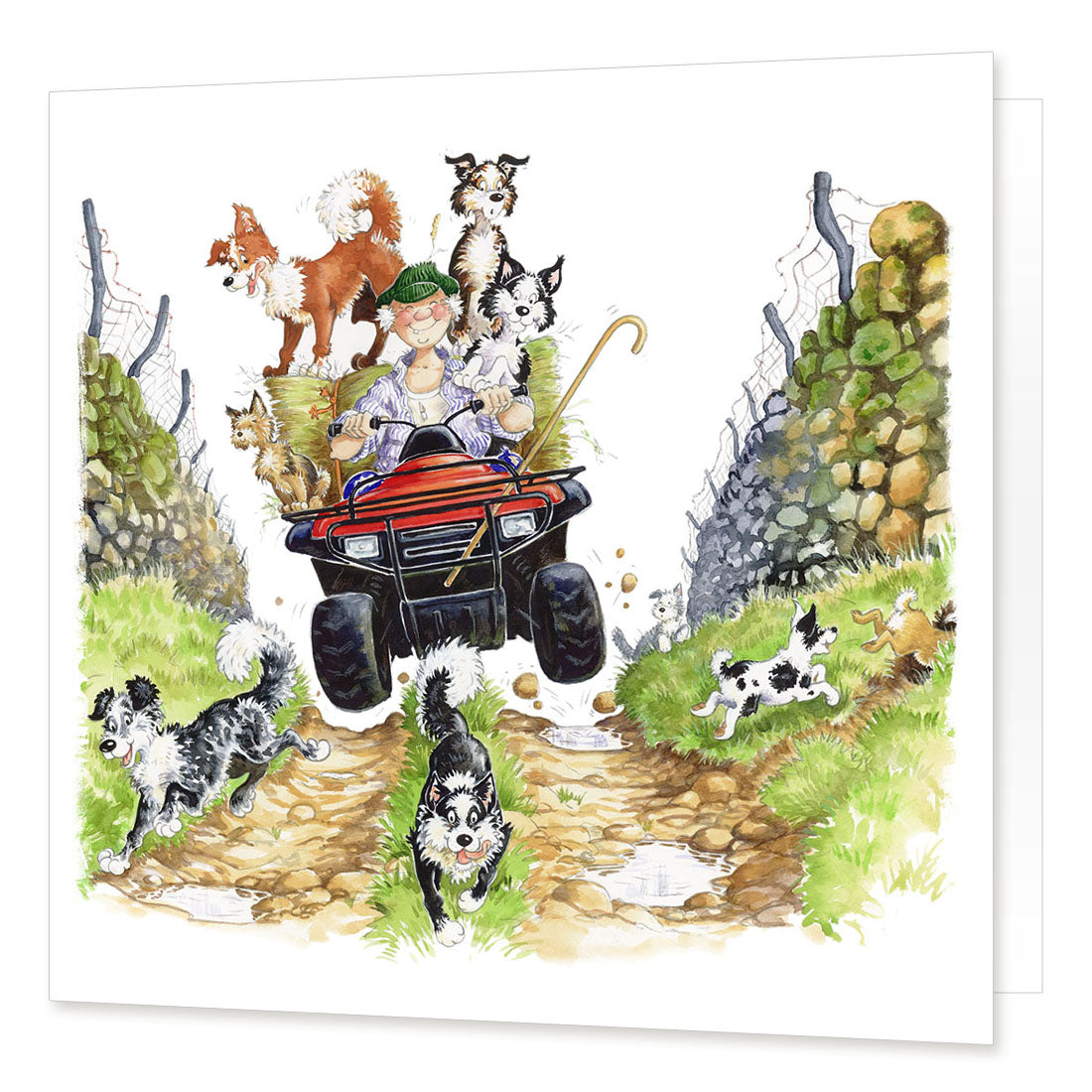 Country Comicals "Country Chaos" Greetings Card by Linda Birkinshaw