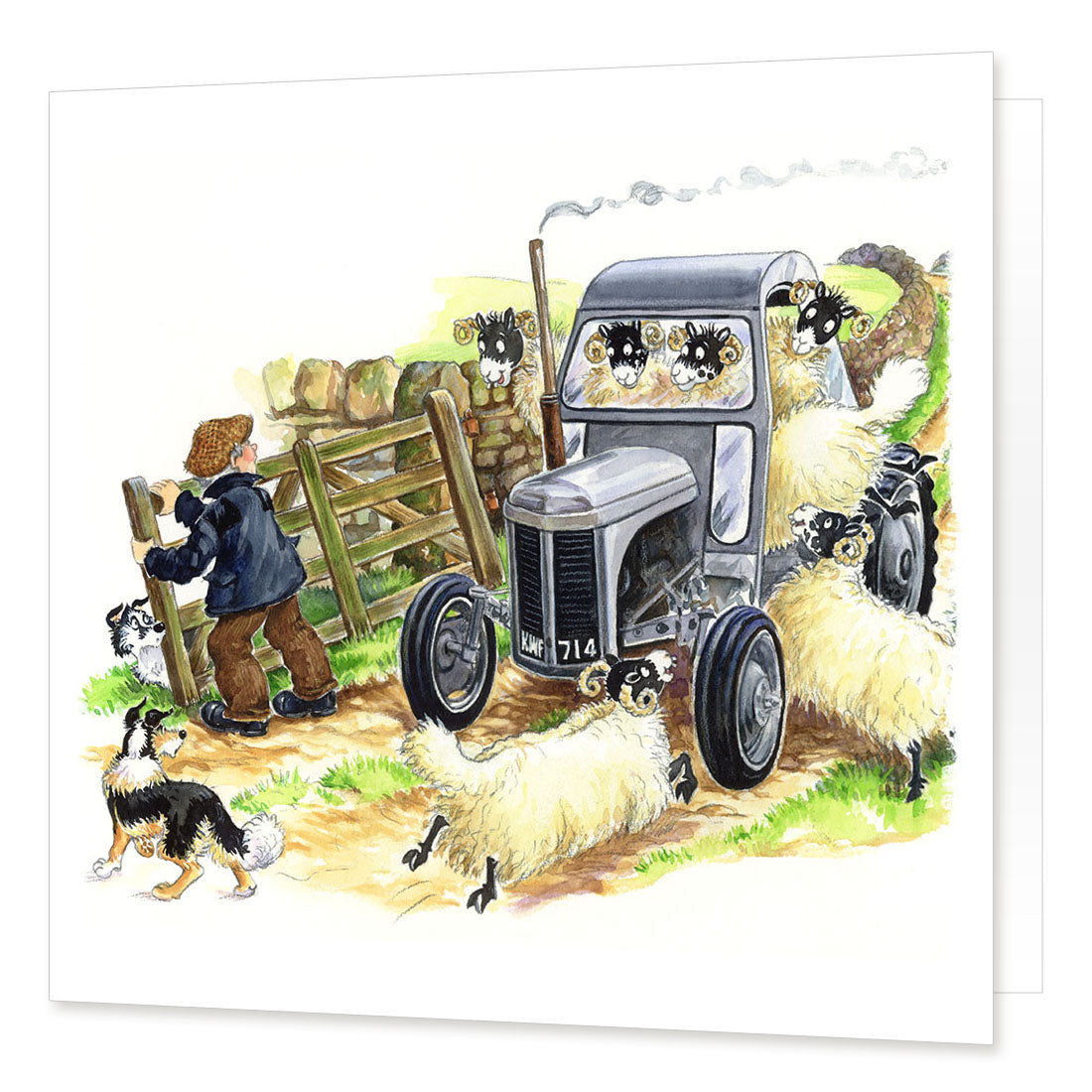 Country Comicals "Sheep Driving" Greetings Card by Linda Birkinshaw