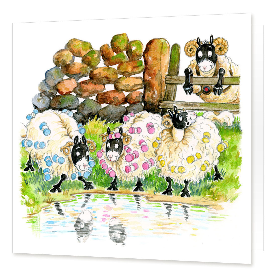 Country Comicals "Girls' Night Out" Greetings Card by Linda Birkinshaw