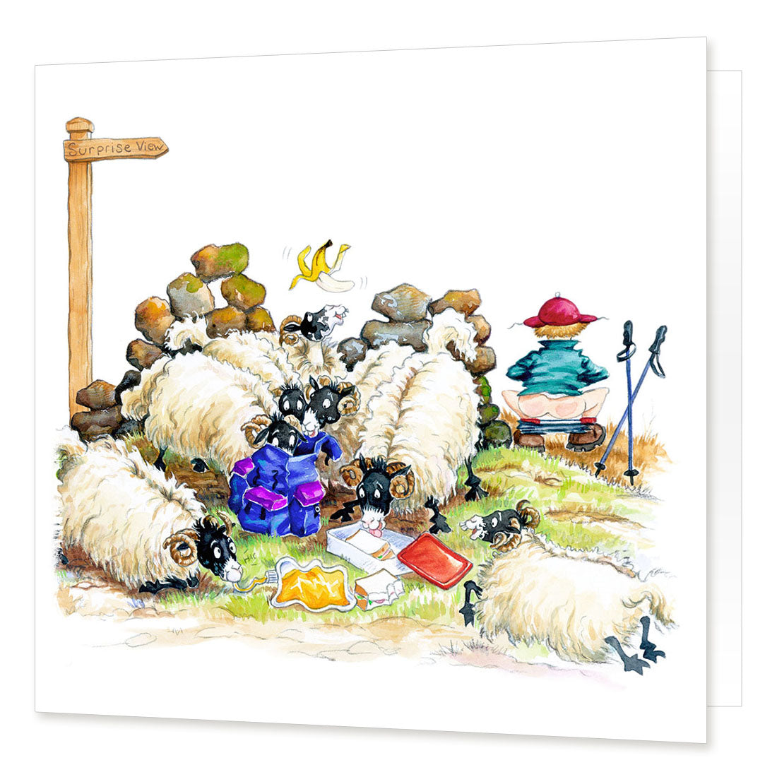 Country Comicals "Surprise View" Greetings Card by Linda Birkinshaw