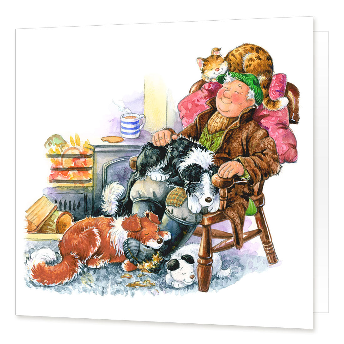 Country Comicals "Cat Napping" Greetings Card by Linda Birkinshaw