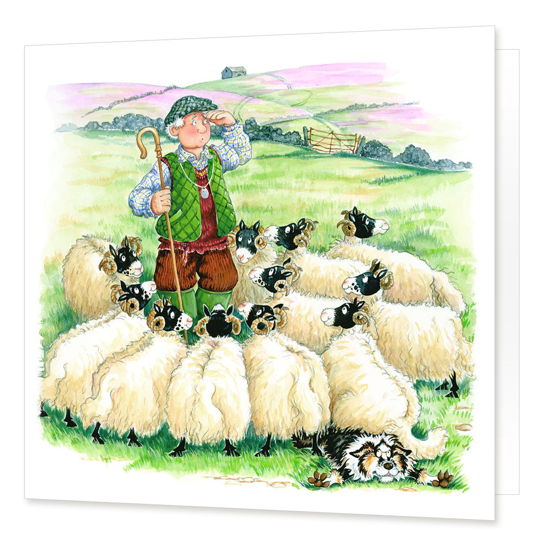 Country Comicals "Sheep Dog Trials" Greetings Card by Linda Birkinshaw