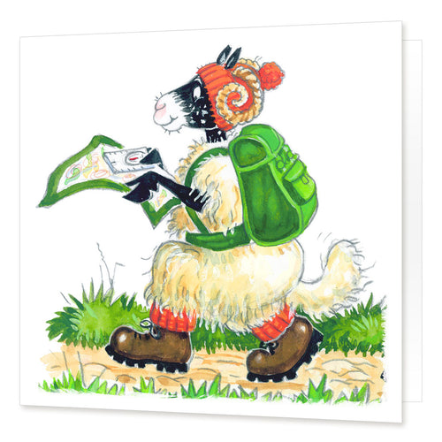 Country Comicals "Woolly Walkers" Greetings Card by Linda Birkinshaw