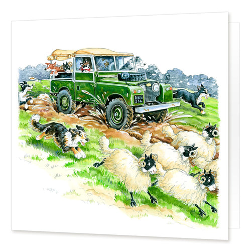 Country Comicals "Off Road Antics" Greetings Card by Linda Birkinshaw
