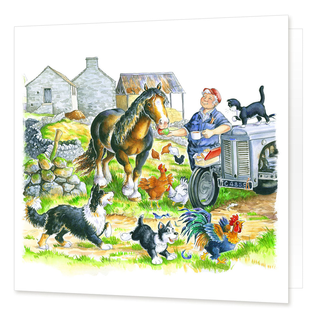 Country Comicals "Lunch Break" Greetings Card by Linda Birkinshaw