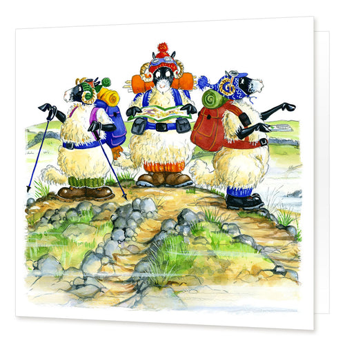 Country Comicals "It's That Way" Greetings Card by Linda Birkinshaw