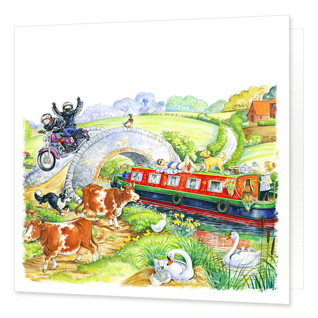 Country Comicals "Over and Under" Greetings Card by Linda Birkinshaw