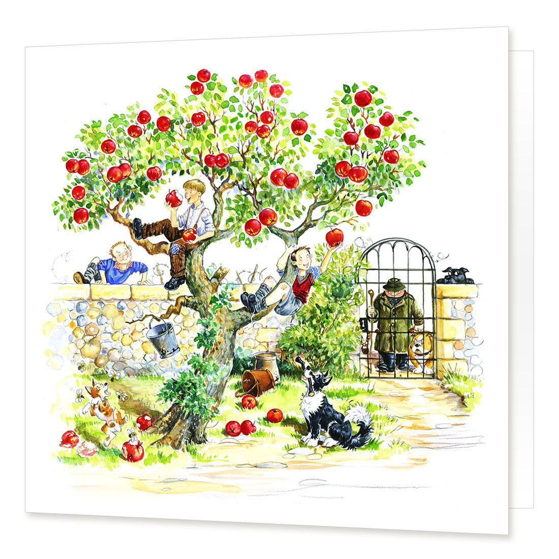 Country Comicals "Scrumping" Greetings Card by Linda Birkinshaw