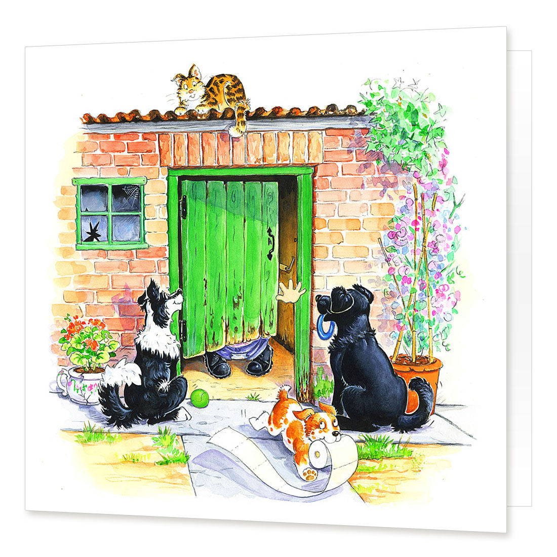 Country Comicals "Toilet Training" Greetings Card by Linda Birkinshaw