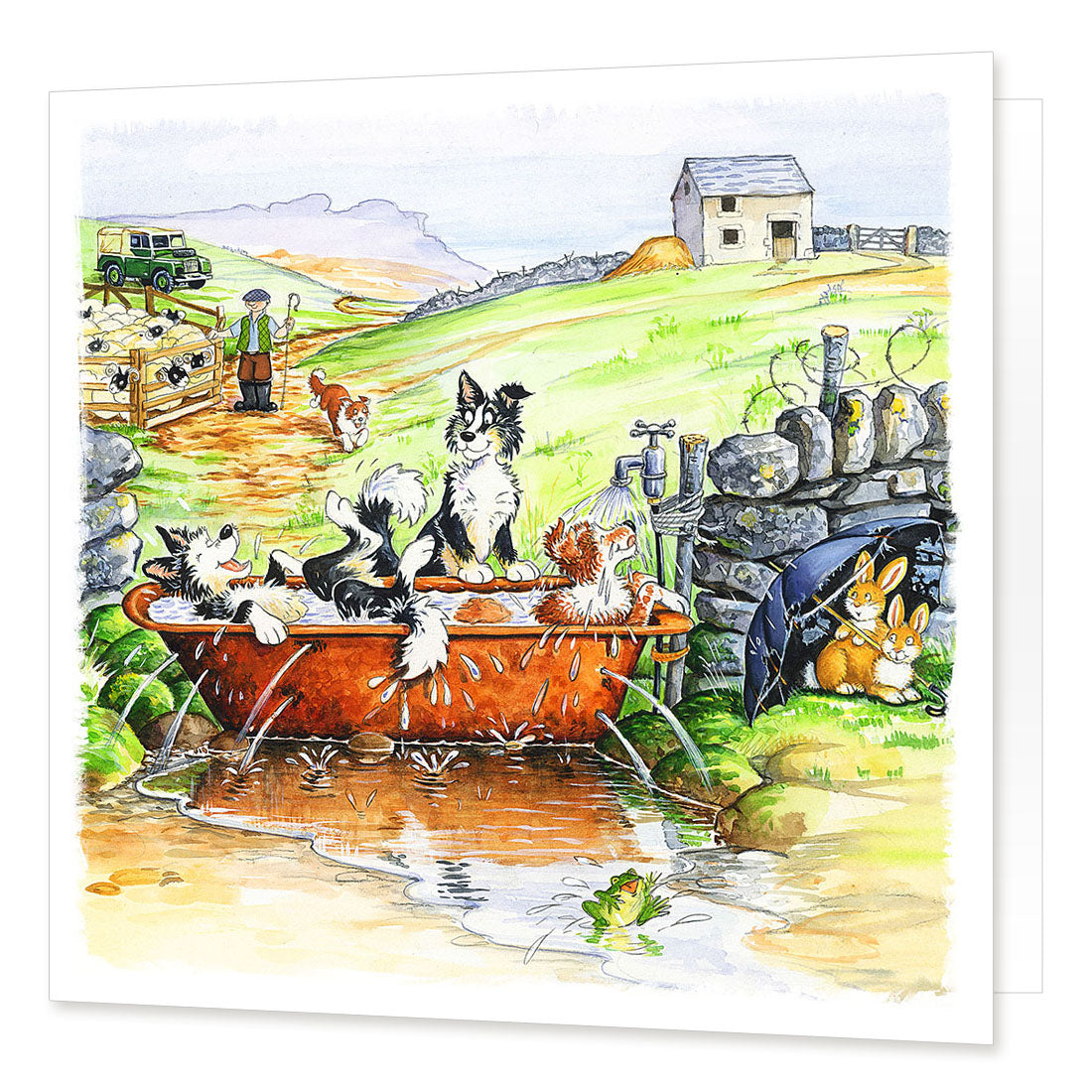 Country Comicals "Tub Time" Greetings Card by Linda Birkinshaw