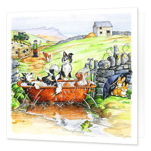 Country Comicals "Tub Time" Greetings Card by Linda Birkinshaw