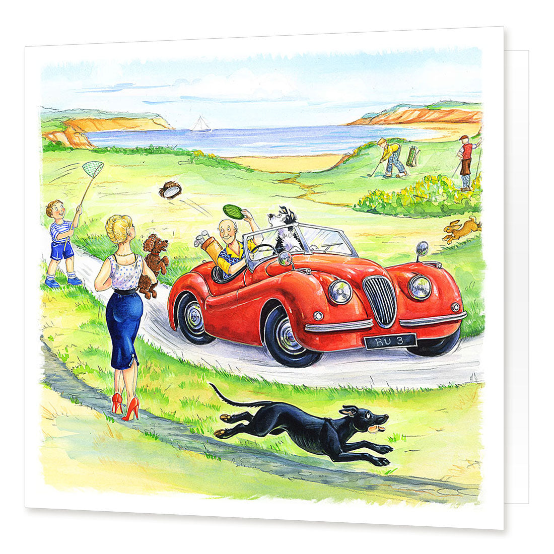 Country Comicals "Gone With The Wind" Greetings Card by Linda Birkinshaw