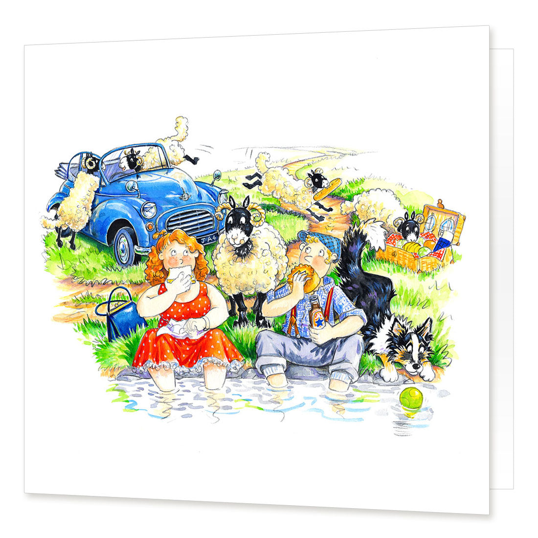 Country Comicals "Woolly Picknicking" Greetings Card by Linda Birkinshaw